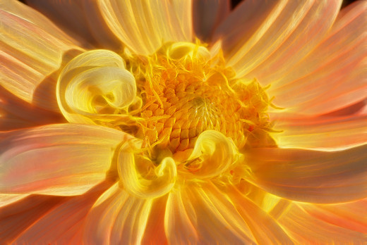 960548 (a): :2048x1367